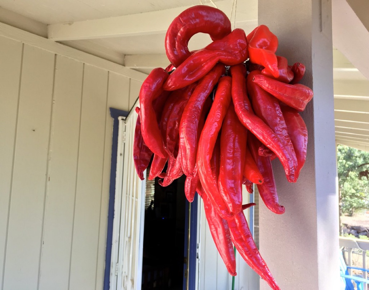 Red chile ristra drying on a Northern New Mexico porch