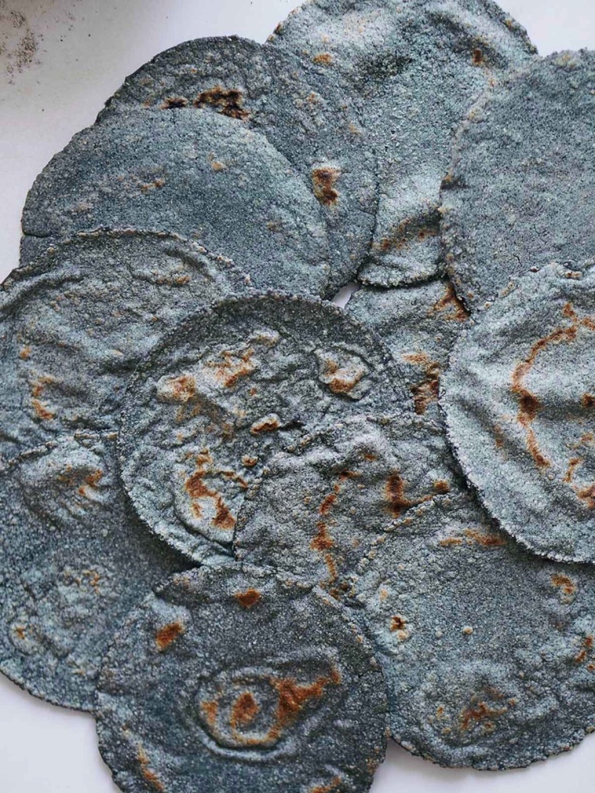 Hand-pressed blue corn tortillas, toasted on the comal — The Charro table.